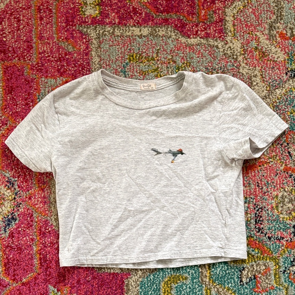 Brandy Melville Gray Crop Top